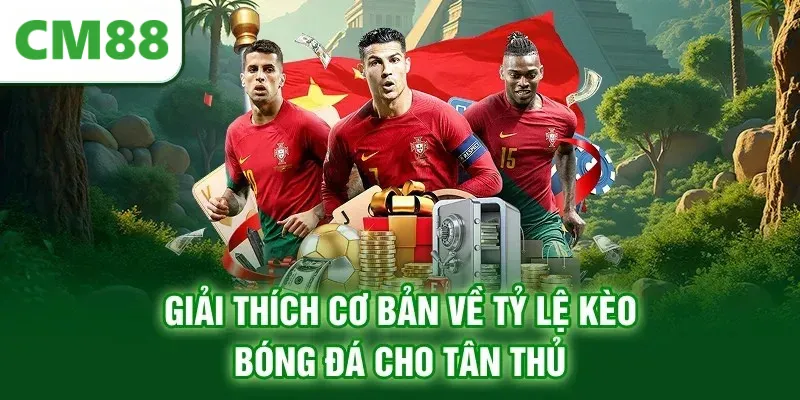 Giải thích cơ bản về tỷ lệ kèo bóng đá cho tân thủ